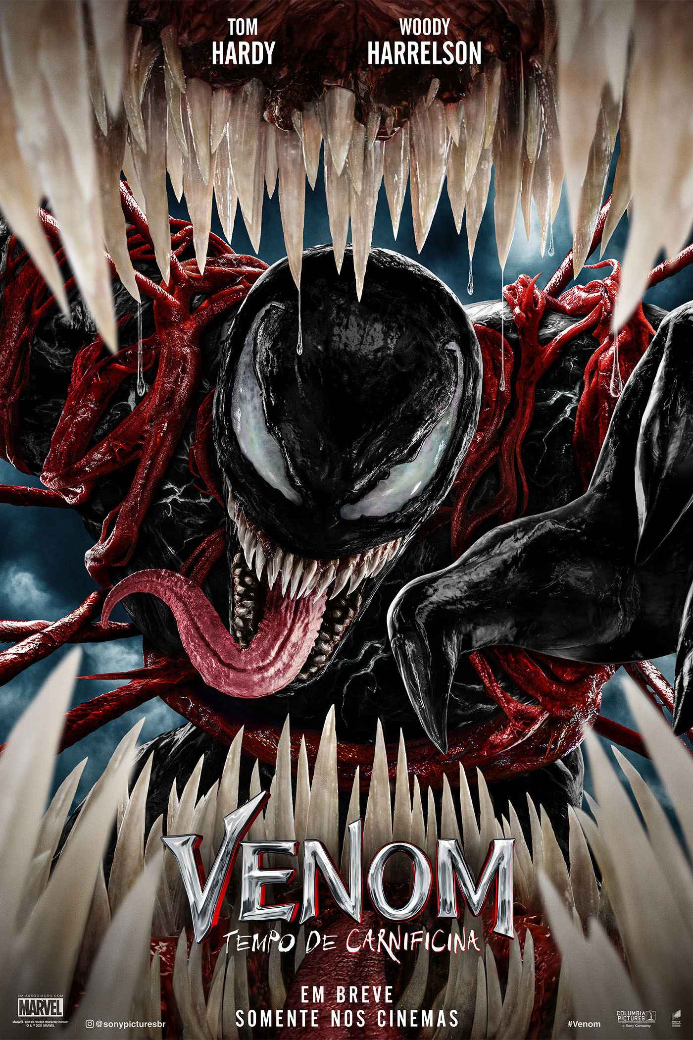 Cartaz de Venom
